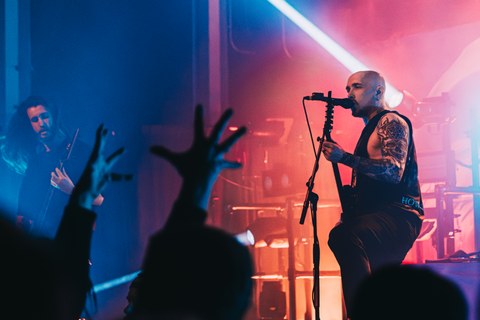 Sylosis